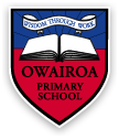 Owairoa Primary School